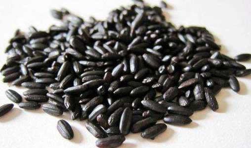 black rice extract